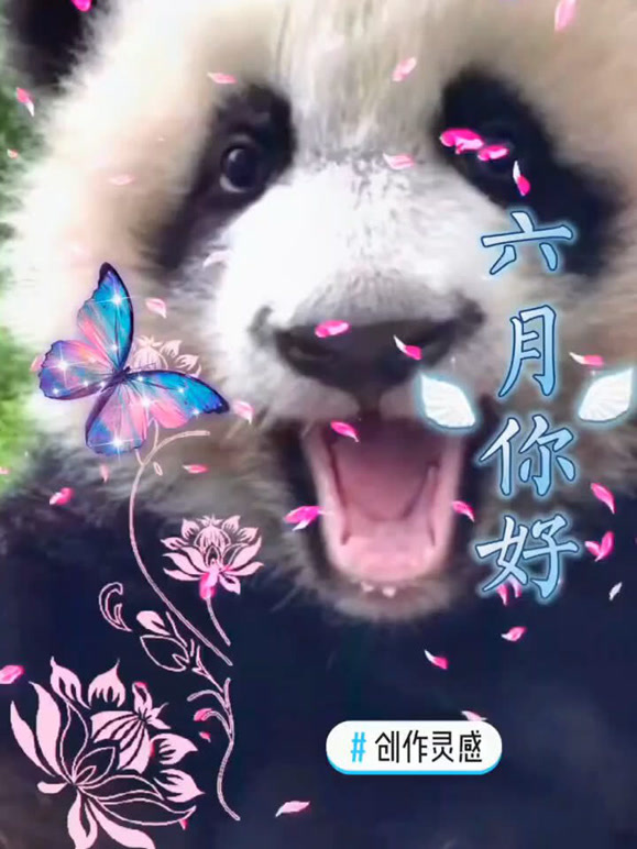 熊猫趣乐