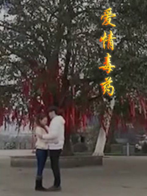 爱情毒药