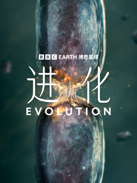 进化（中配版）