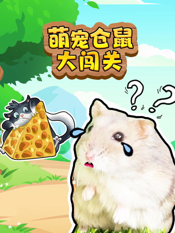 萌宠仓鼠大闯关