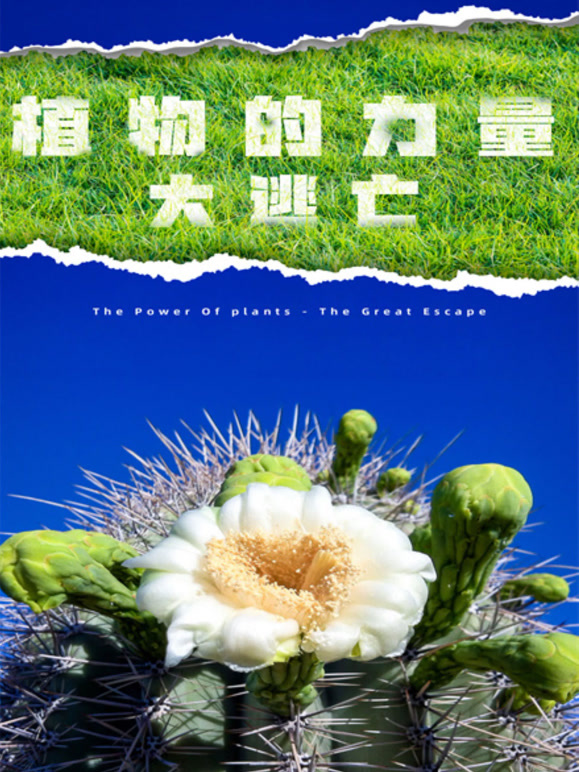 植物的力量·大逃亡