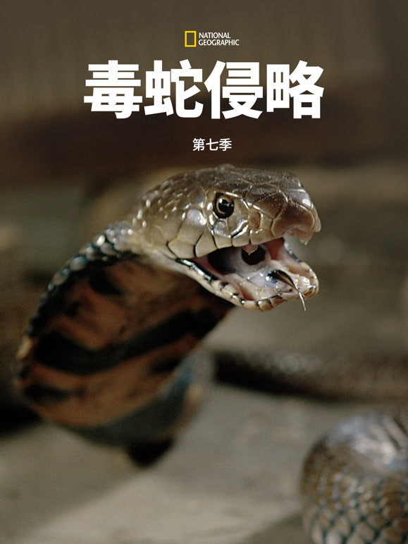 毒蛇侵略 第七季