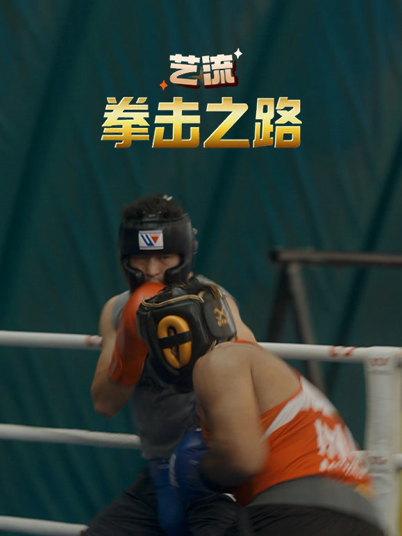 艺流·拳击之路
