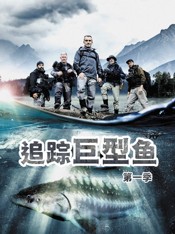 追踪巨型鱼第一季配音版
