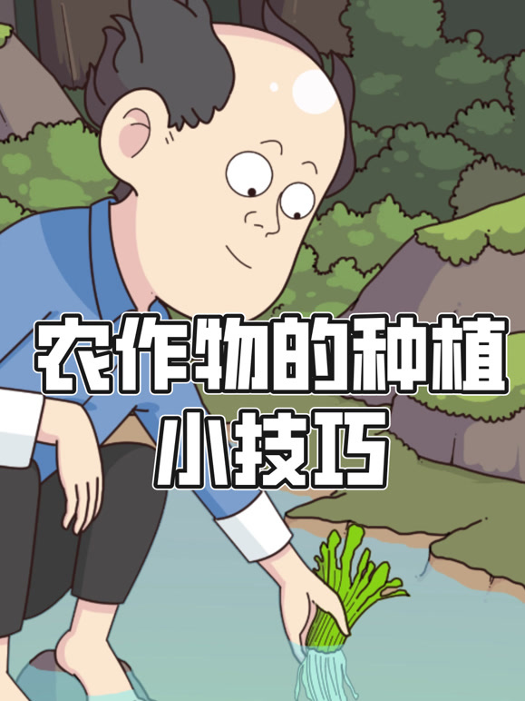 农作物的种植小技巧 动态漫画