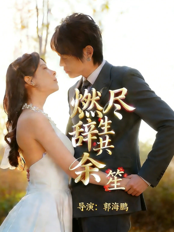 燃尽辞生共余笙