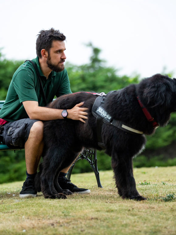 狗狗之家 第二季