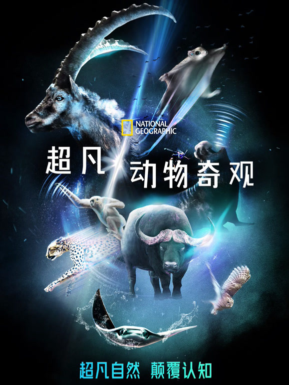 超凡动物奇观中文版