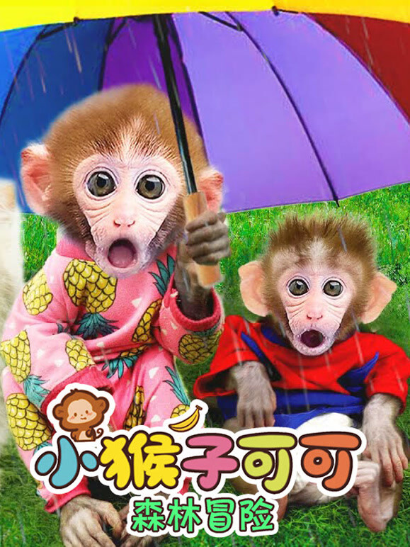 小猴子可可森林冒险