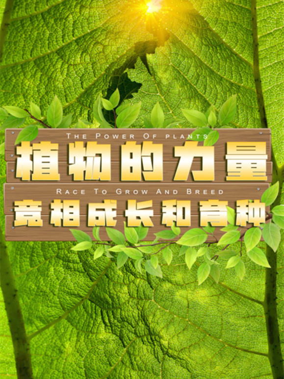 植物的力量·竞相成长和育种