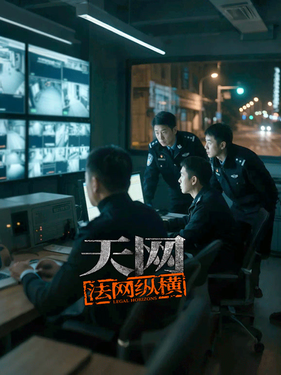 天网：法网纵横