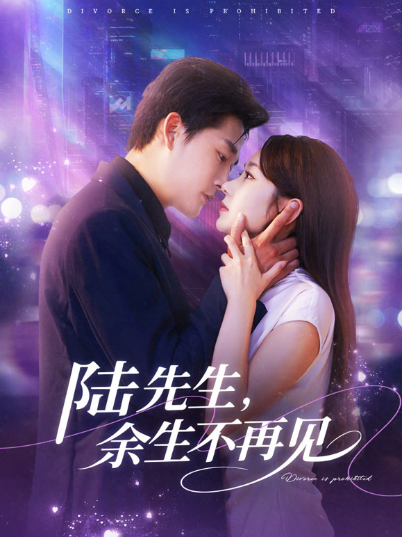 陆先生，余生不再见