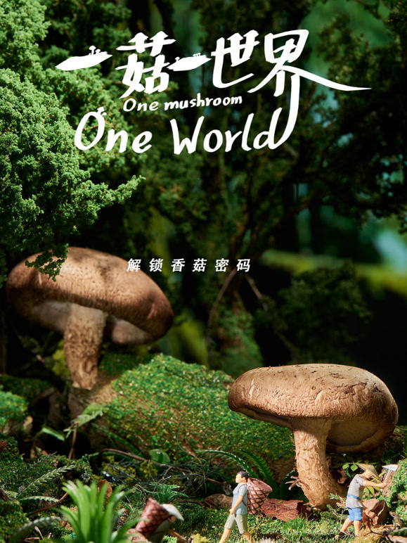 一菇一世界