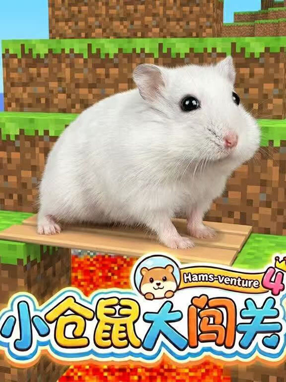 小仓鼠大闯关 第四季