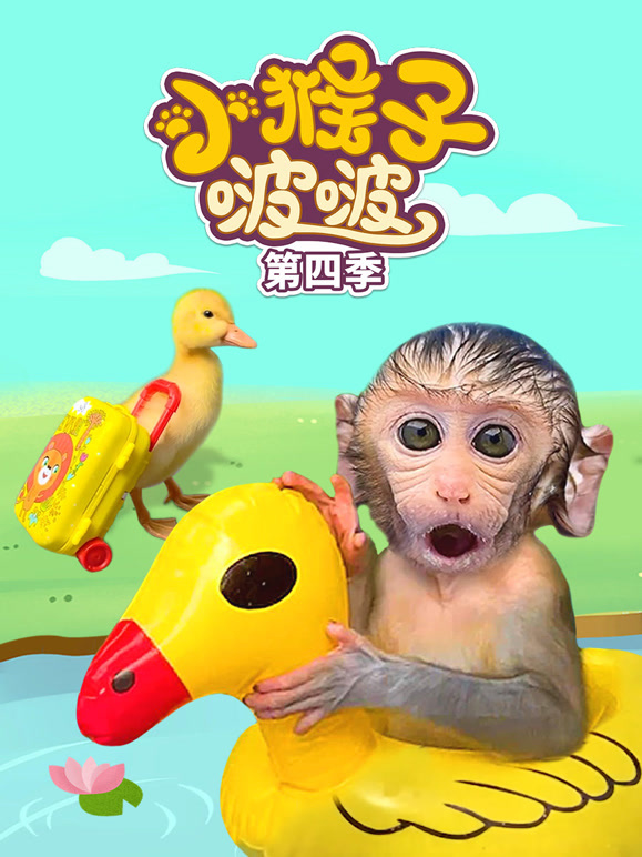 小猴子啵啵 第四季