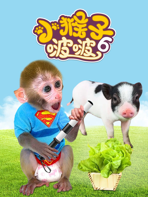 小猴子啵啵  第6季