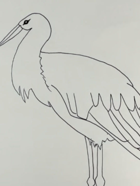 动物，人物，植物，风景儿童简笔画教程