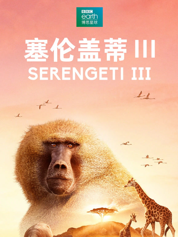 塞伦盖蒂 第三季
