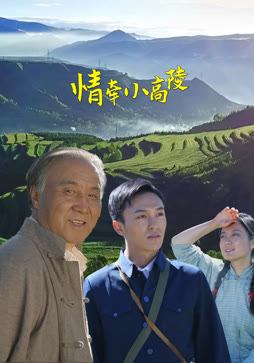 情牵小高陵