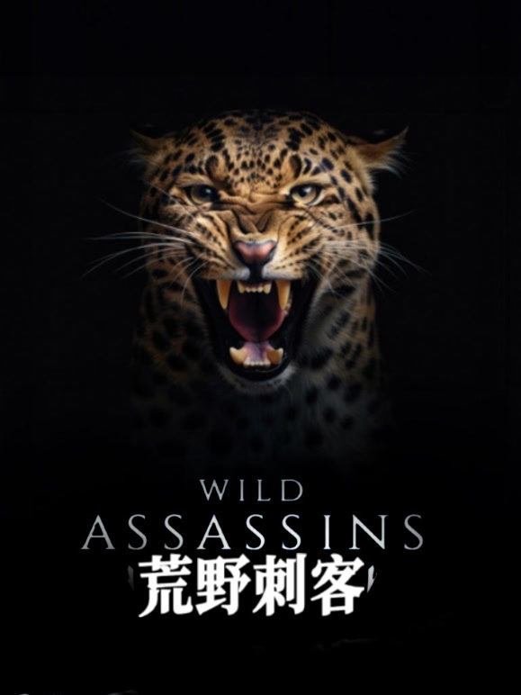 荒野刺客第一季