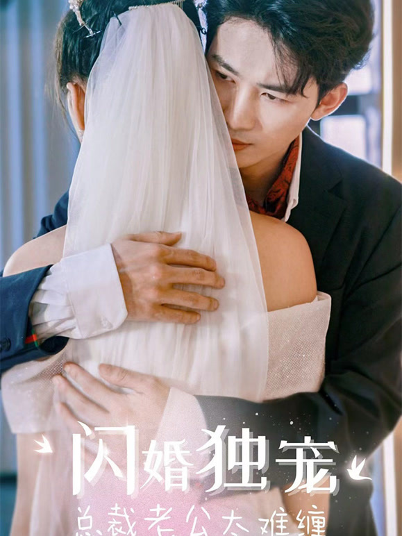 闪婚独宠：总裁老公太难缠