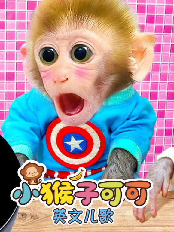 小猴子可可英文儿歌