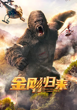 金刚归来