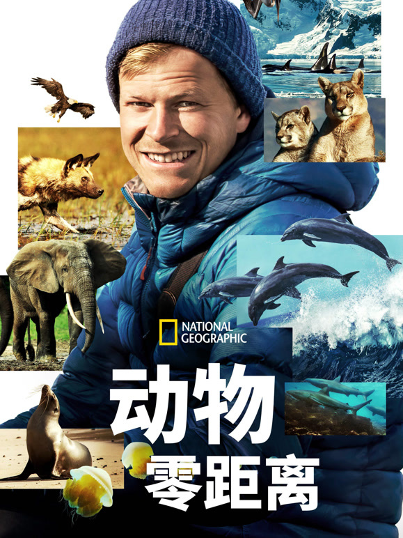 动物零距离