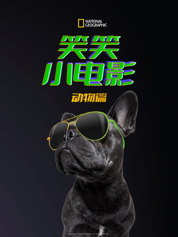 笑笑小电影：动物篇配音版