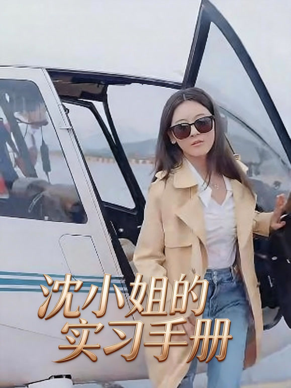 沈小姐的实习手册