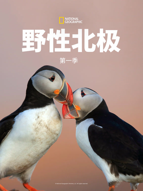 野性北极 第一季