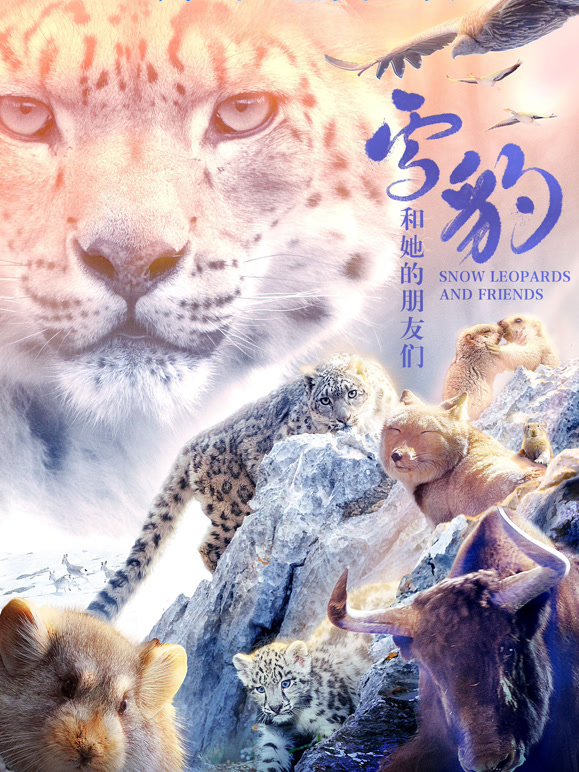 雪豹和她的朋友们