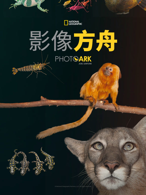 影像方舟 第二季