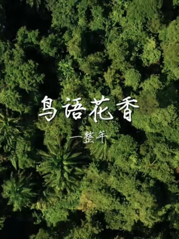 鸟语花香一整年
