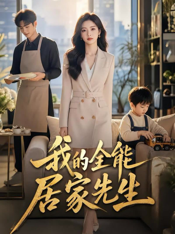 我的全能居家先生