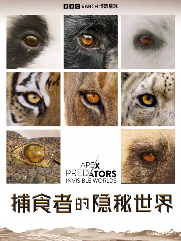 捕食者的隐秘世界 中文版