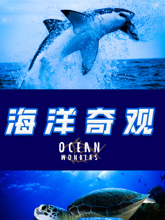 海洋奇观 第二季