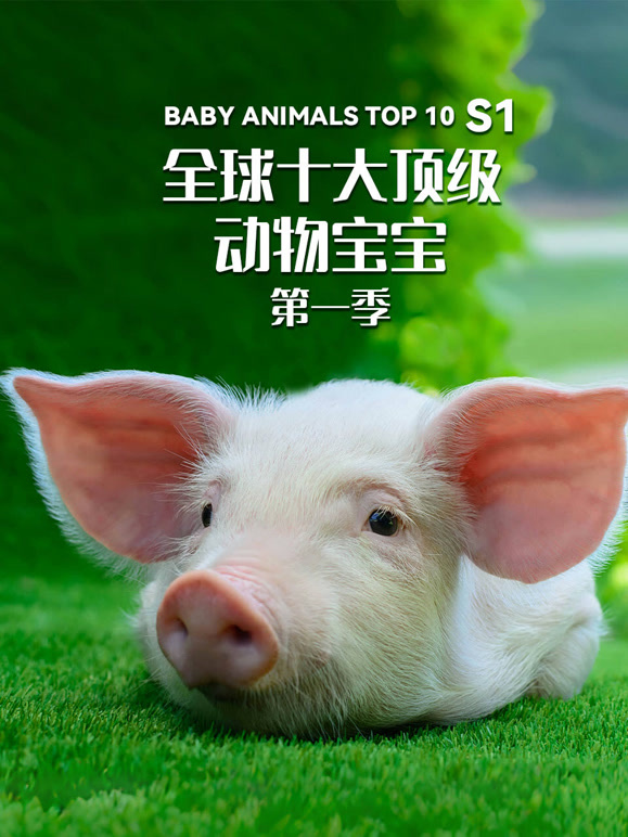 全球十大顶级动物宝宝第一季英文版