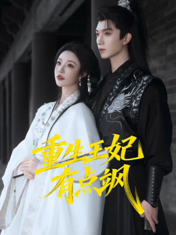 重生王妃有点飒