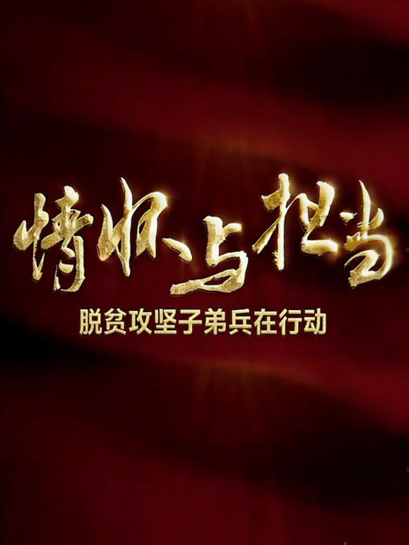 情怀与担当——脱贫攻坚子弟兵在行动