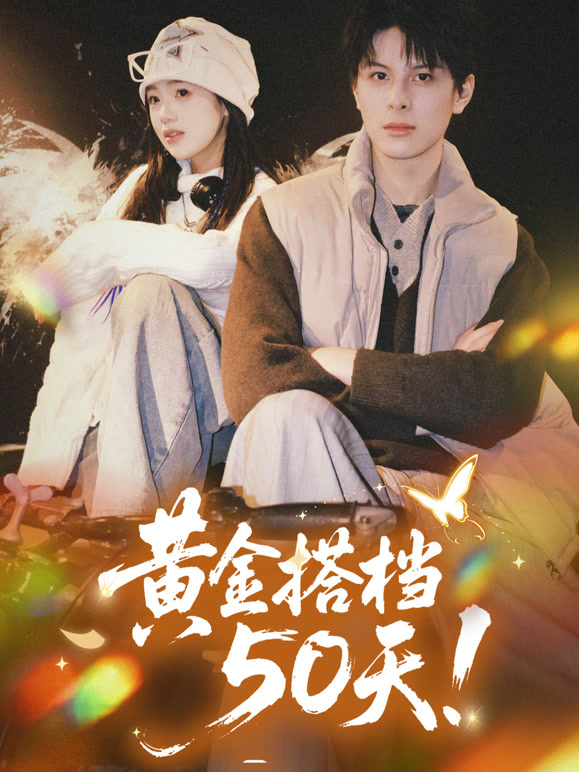 《黄金搭档50天》