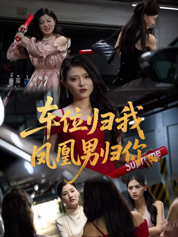 车位归我，凤凰男归你