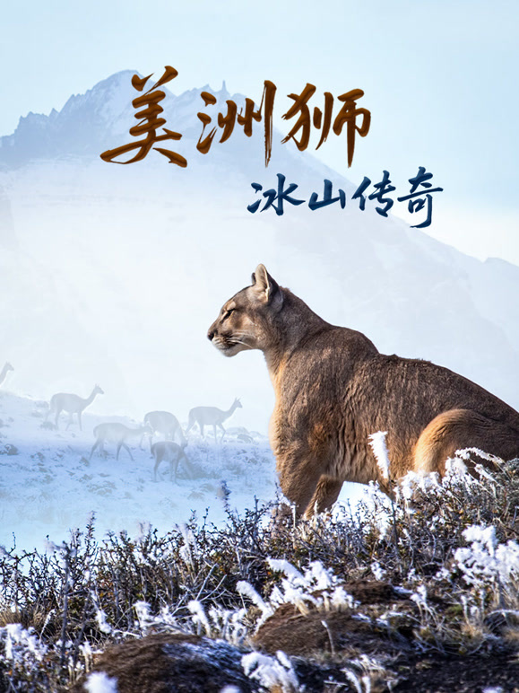 美洲狮：冰山传奇-配音版