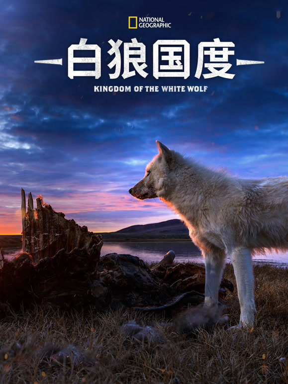 白狼国度 第一季