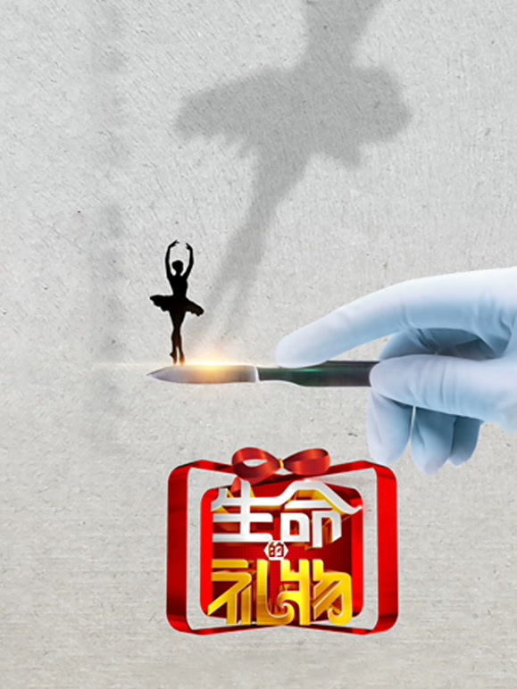 生命缘·生命的礼物第三季