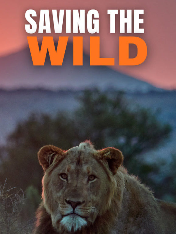 拯救野生动物 第二季