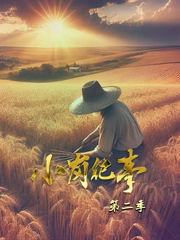 小岗纪事 第二季