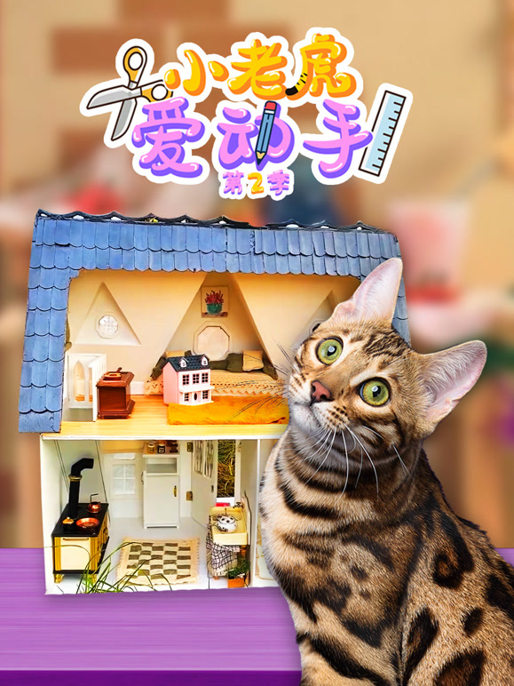 小老虎爱动手 第二季