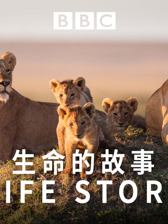 生命的故事