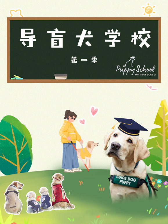 导盲犬学校 第一季